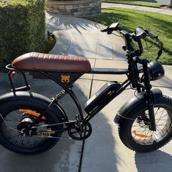 Cycrown Cycrun electric bike