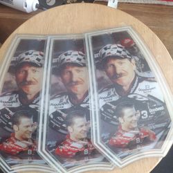 Dale Earnhardt And Jr Glass Lamp Shades