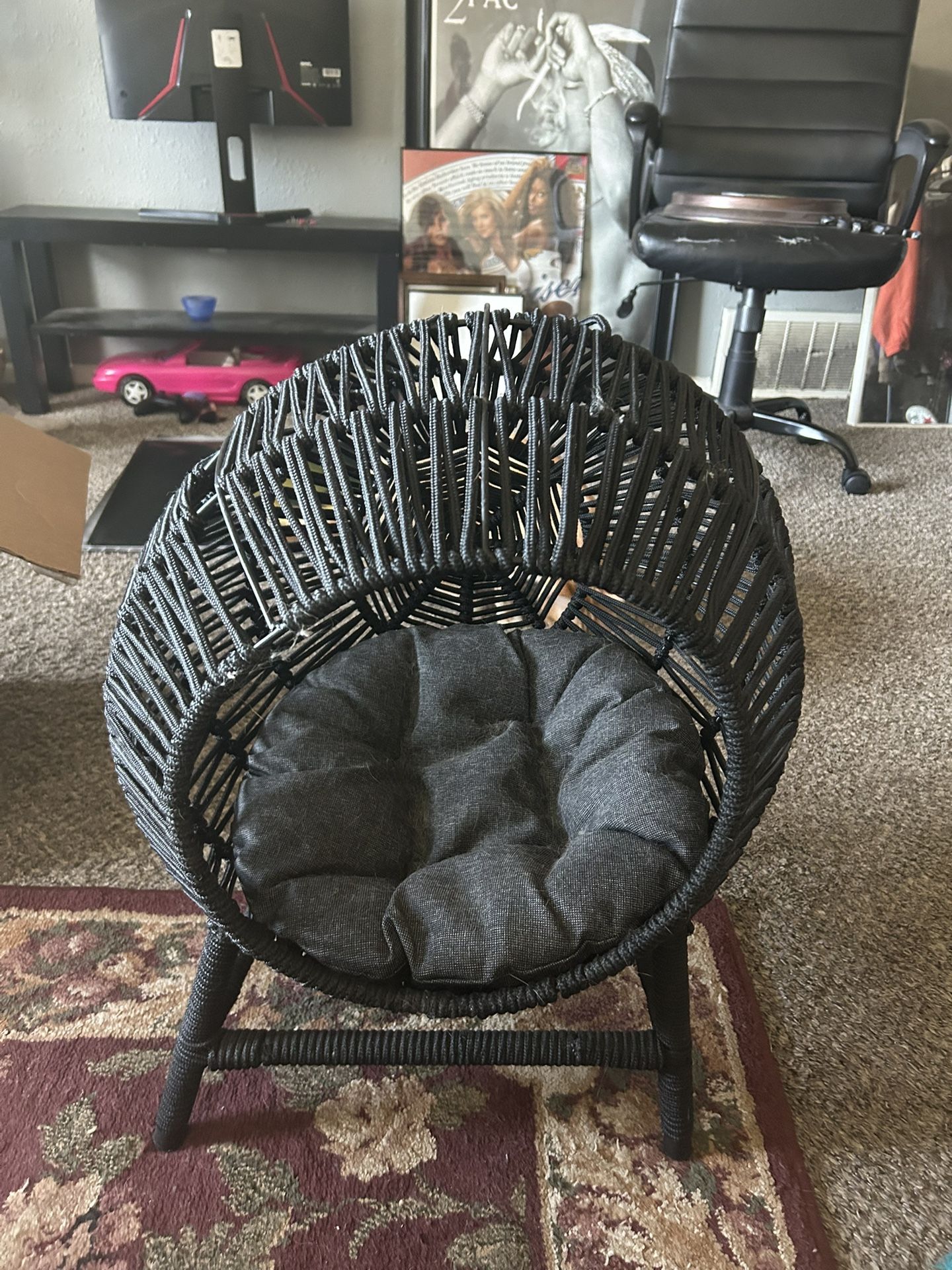 Cat Nest