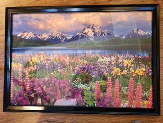 Framed picture