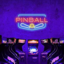 24"x13" Pinball Machine Neon Sign Real Glass Sign RT160