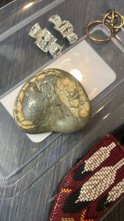 Fossil?