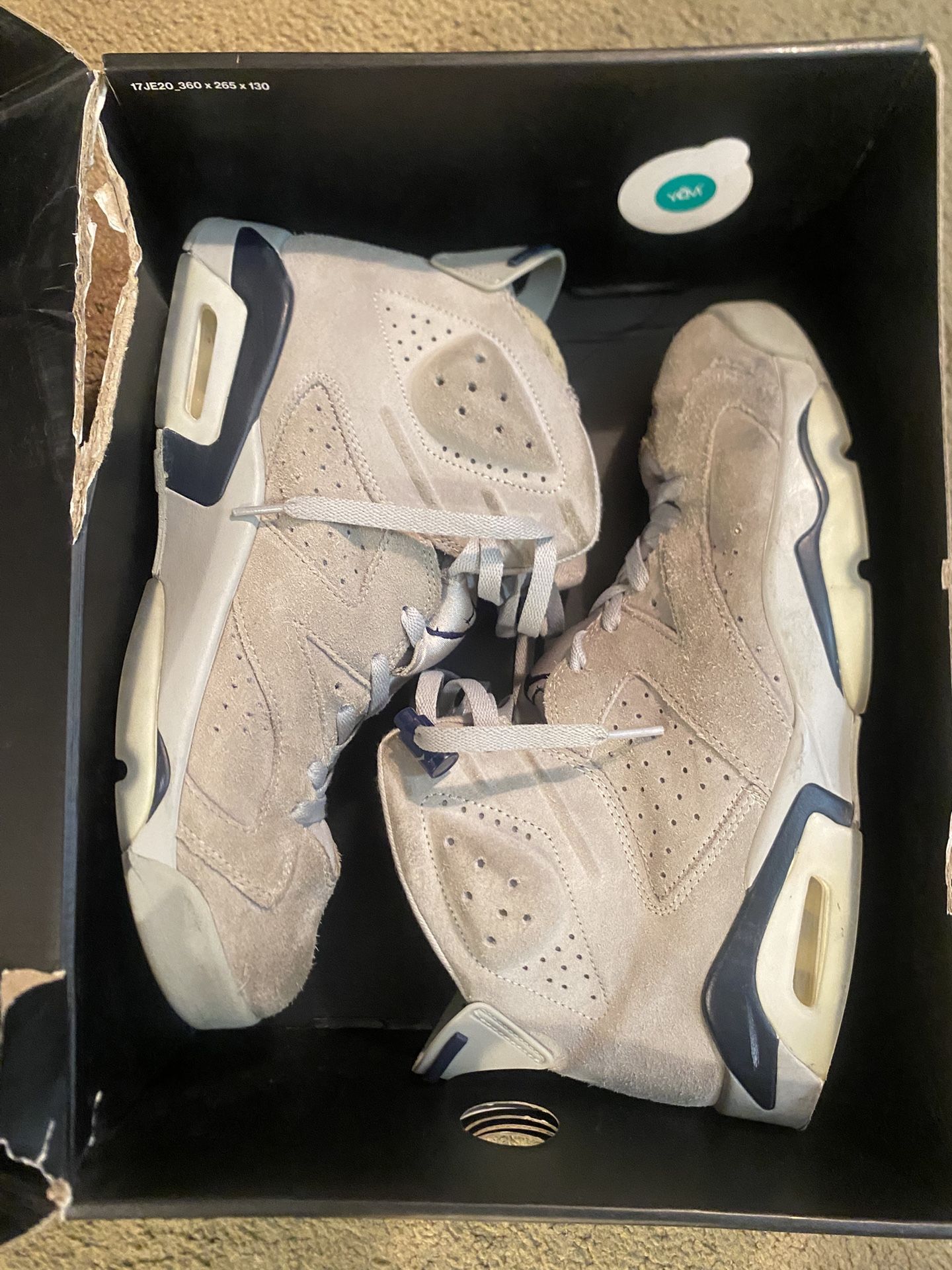 Jordan 6s