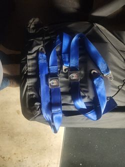 VW SEAT BELTS
