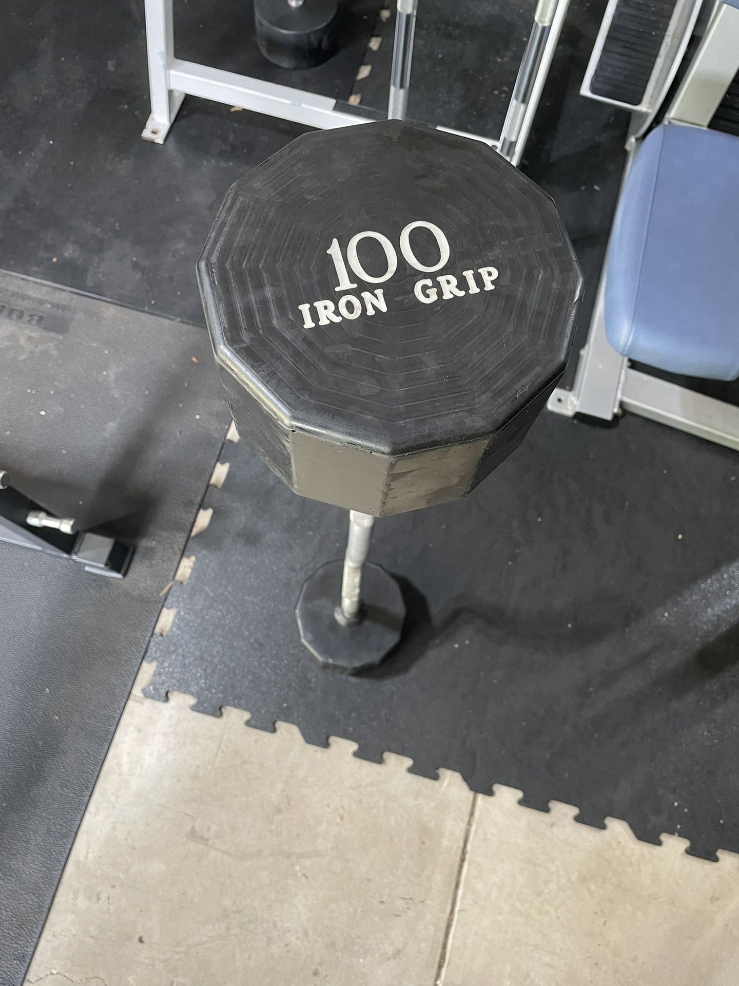 100 lb Iron Grip EZ Curl Barbell