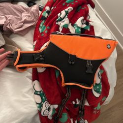 Dog Lifevest