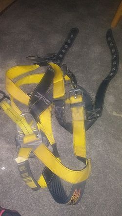 Harnesses