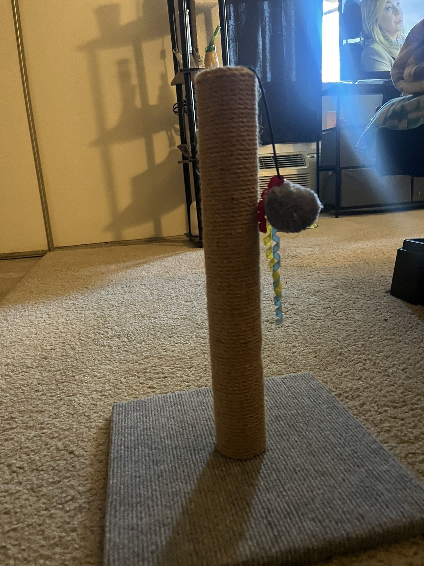 Cat Scratch Post 