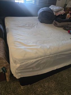 Queen metal bedframe/platform, box spring, mattress