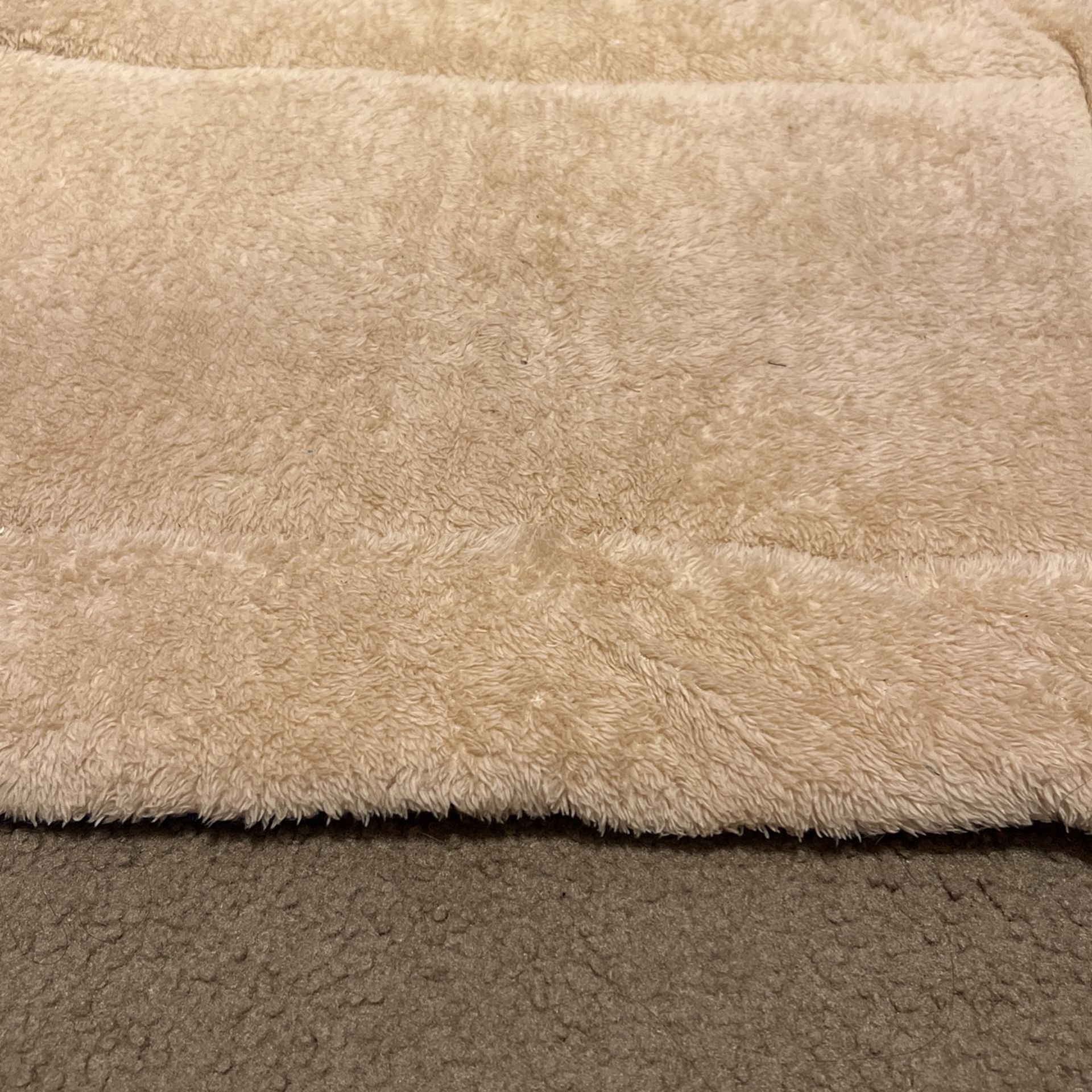 dog pad