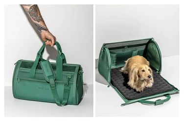 Airline Approved Wild One Pet Dog Carrier 