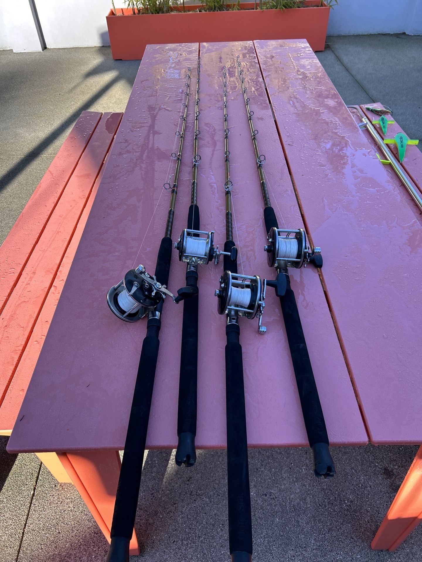 Matching Set Of 6 Fishing Rod/Reel Combos