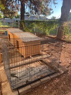 Dog crate house