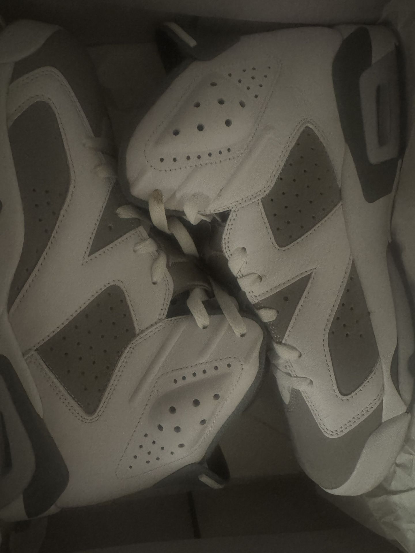 Jordan Retro 6 (Cool Grey)