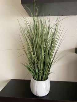 Faux Plant