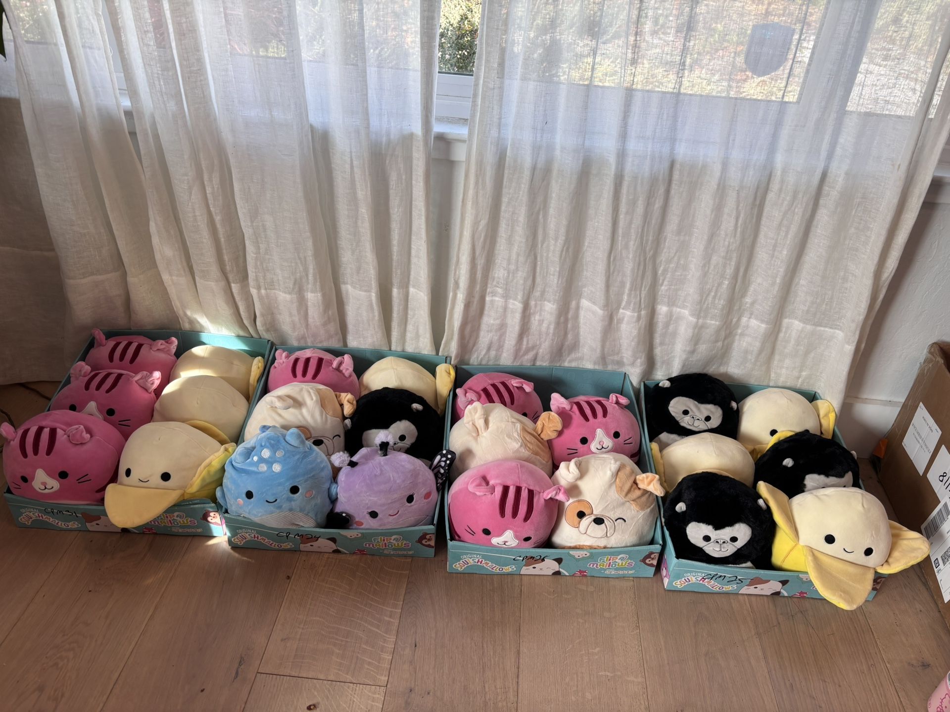 Brand New Squishmallows Flip 