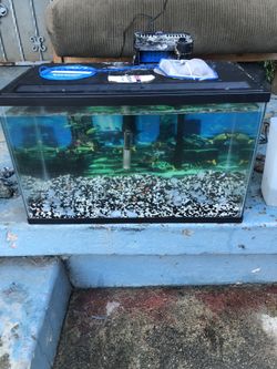 5 Gallon Fish Tank Aquarium