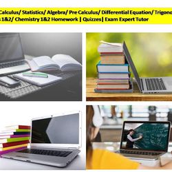Math Exam Tutor Statistics Calculus Algebra Physics Chemistry Online Courses