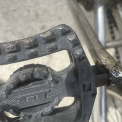 Dino Bmx