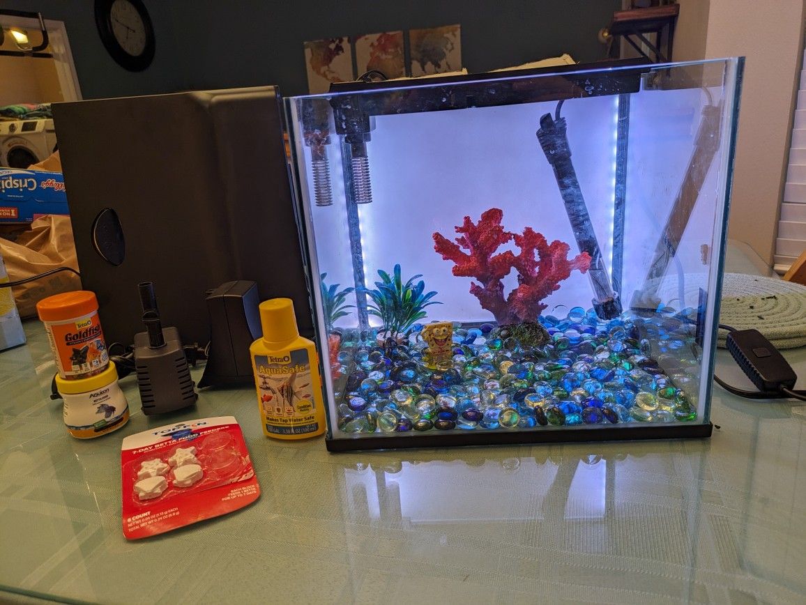 5 Gallon Aquarium & Accessories!