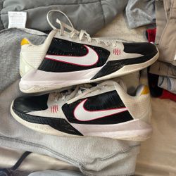 Kobe 5 Bryce Lee Alternate