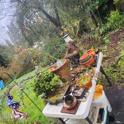 Huge outdoor potted and planted sale