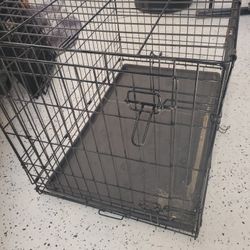 Dog Cage 