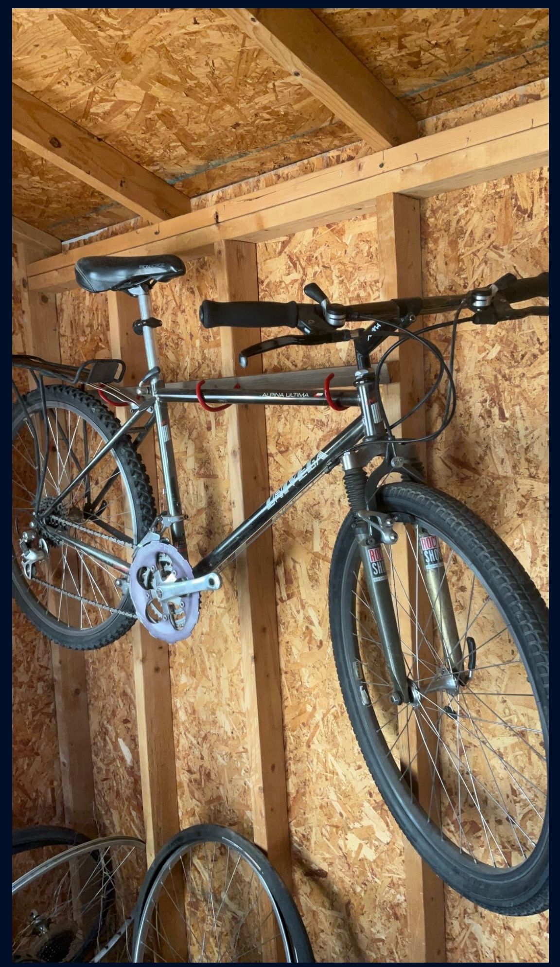 Univega 1984 Alpina Última