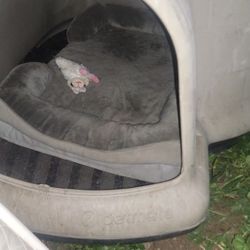 FREE EVERYTHING MUST GO.