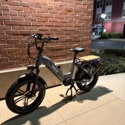 Himiway Big Dog Electric Cargo Bike
