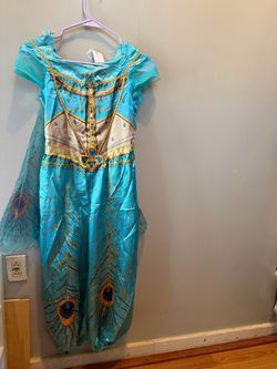 Princess Jasmine Costume