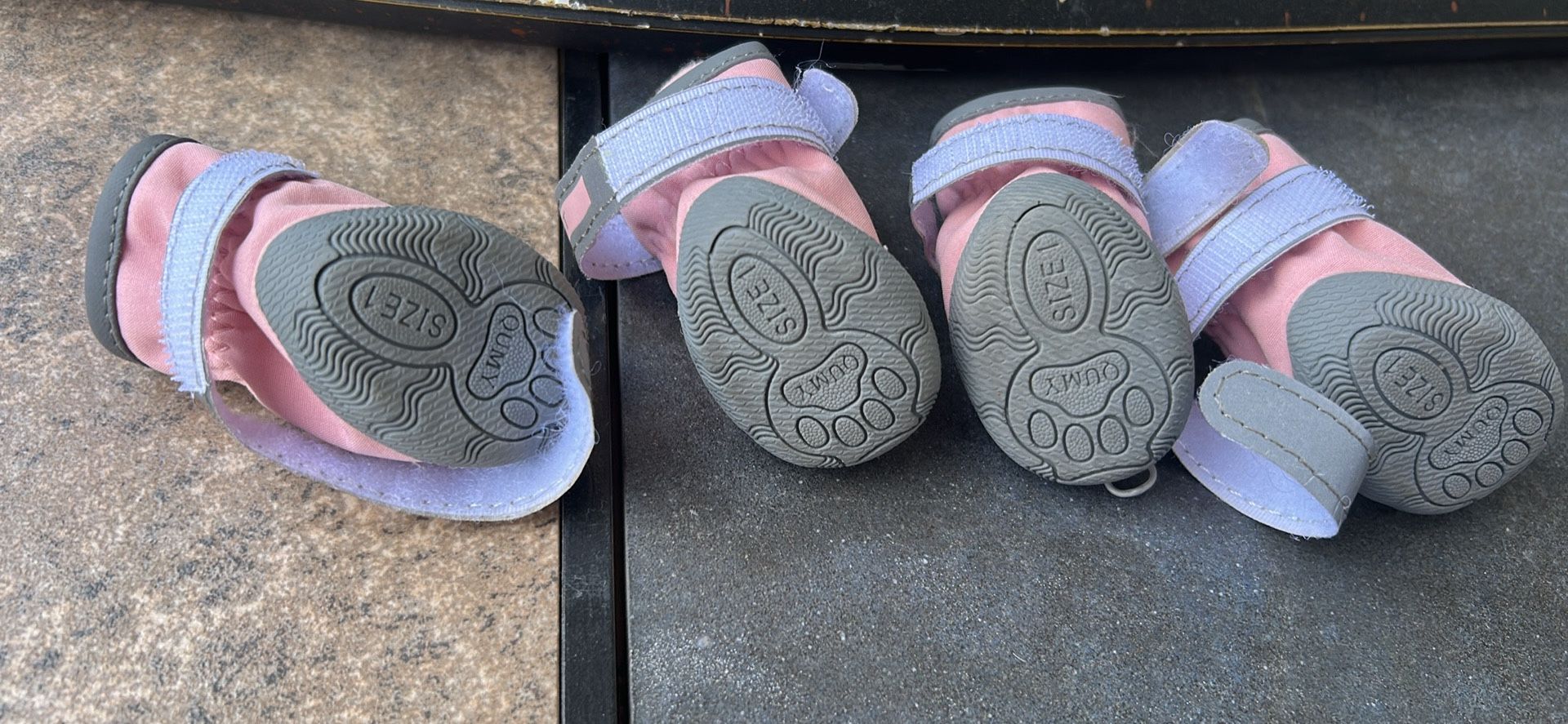 Dog booties for small dog