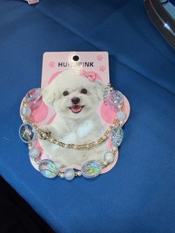Dog Beaded Necklace Collar