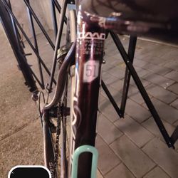 Cannondale Synapses