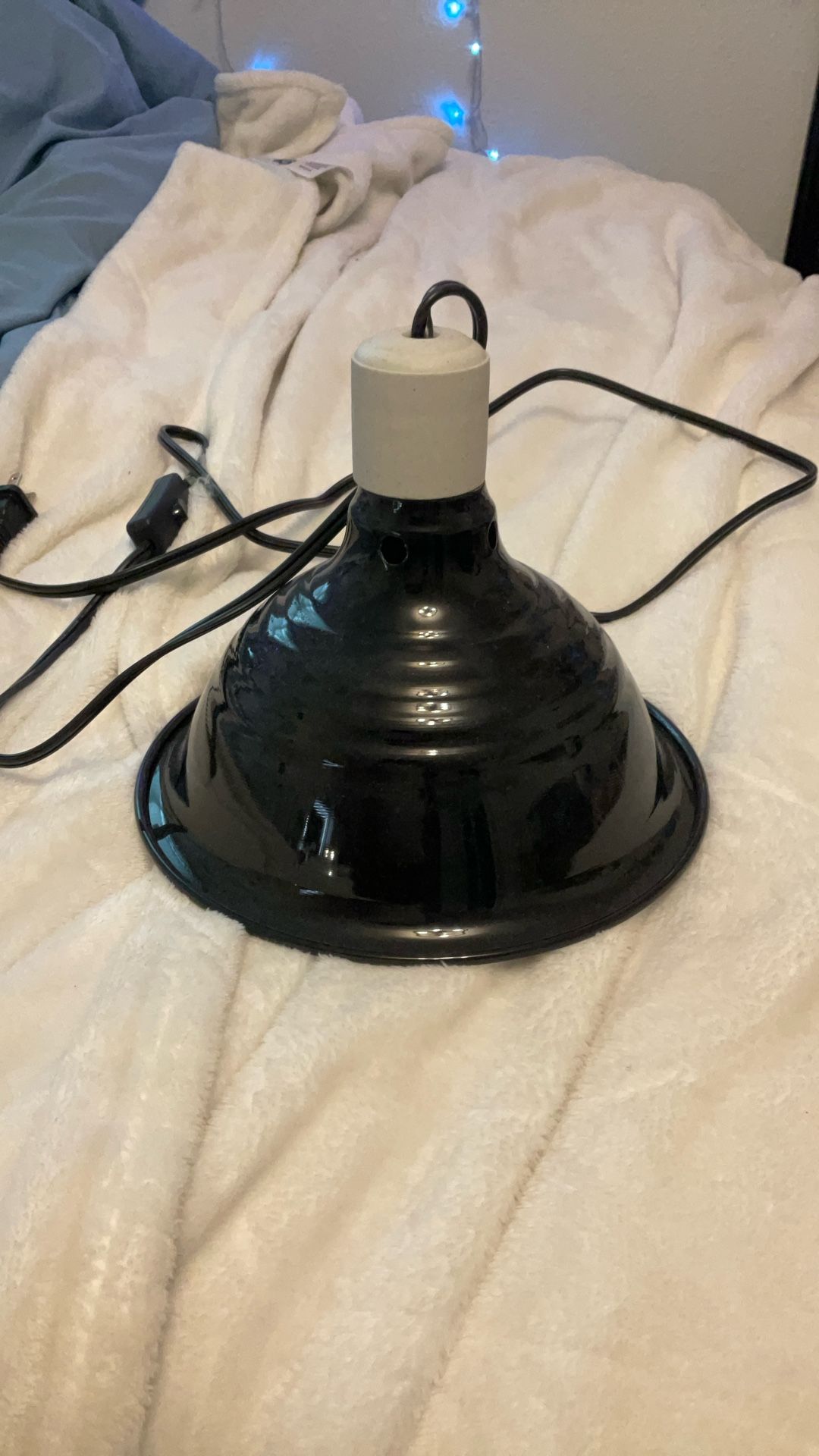 Basking Lights For Reptiles