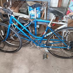Classic Schwinn Bicycle 