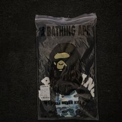 Bathing ape shirt