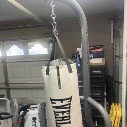 Everlast Punching Bag