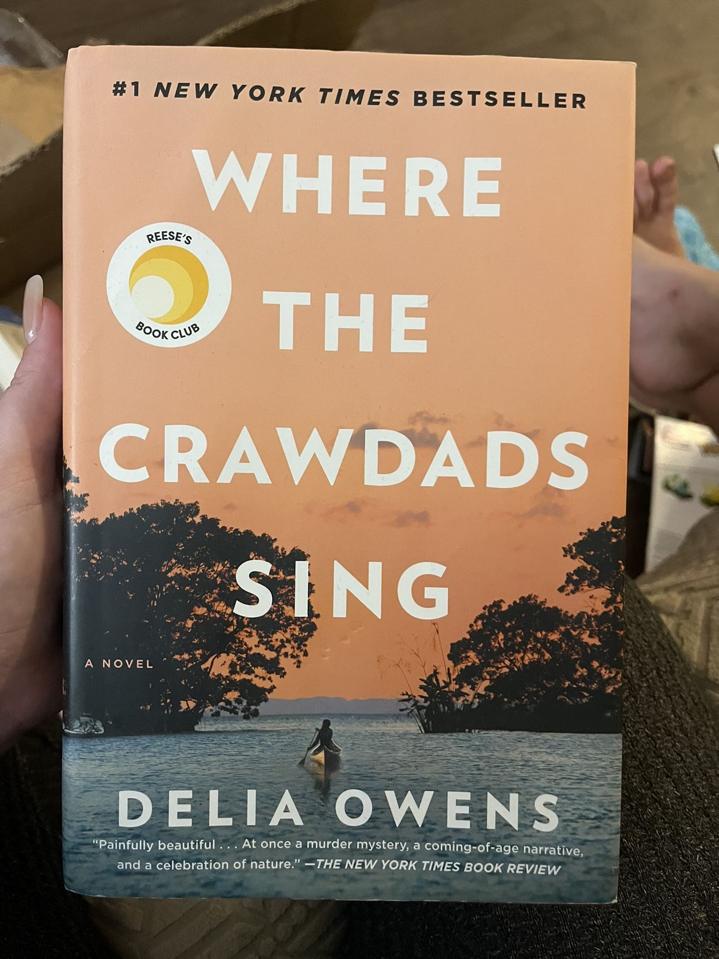 Where The Crawdads Sing Book
