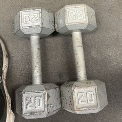 Weights, 20 Lbs., Pair