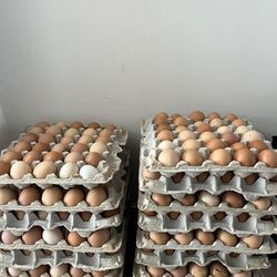 Natural Eggs Huevos Naturales 