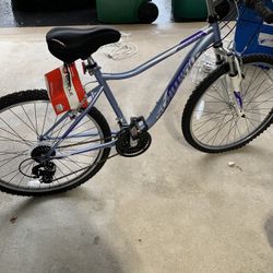 Schwinn Mountain Bike - New