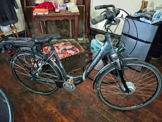 Victoria E bike