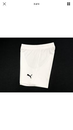 Youth Large unisex soccer shorts - puma