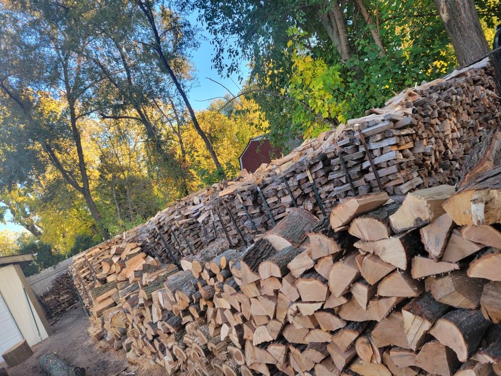 Firewood