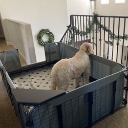 Whelping box (Fab System Whelping Box)