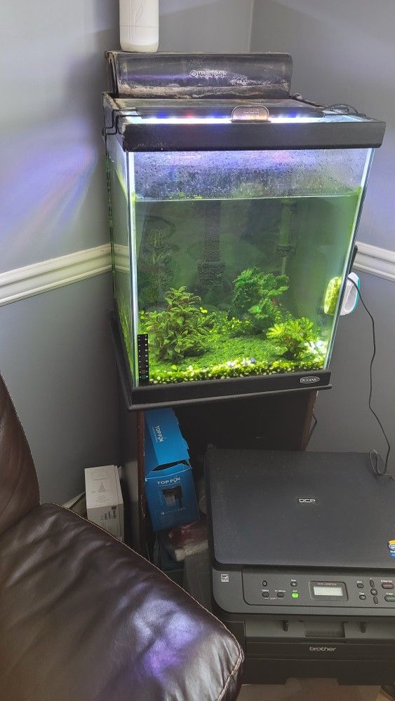 FREE FISH TANK and ACCESSORIES