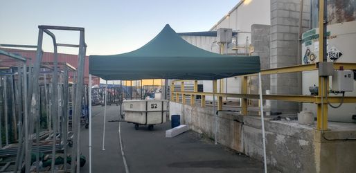 Carpa nueva