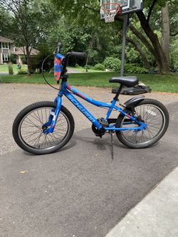 Schwinn fenite sale