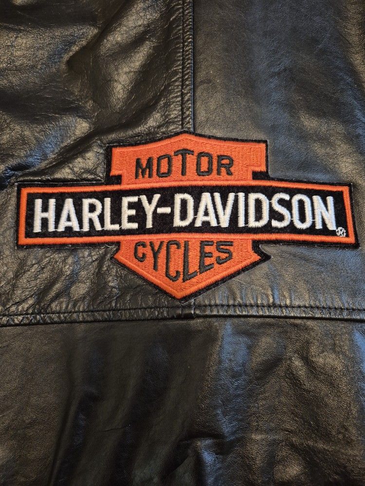 Harley Davidson Leather Jacket